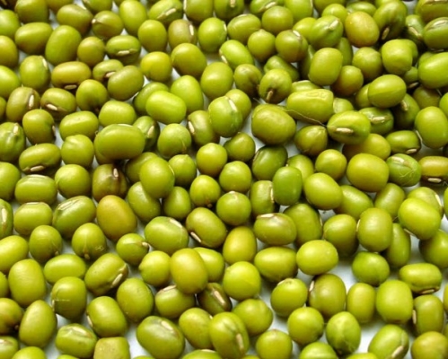 Green-Mung-Beans-Green-Gram-Vigna-radiata.jpg