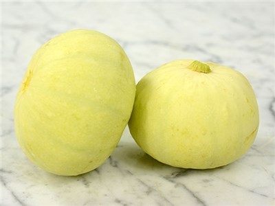 Squash Melon Cultivation
