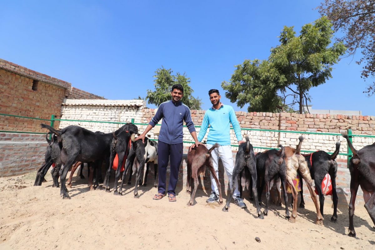 ਸੰਦੀਪ ਸਿੰਘ ਅਤੇ ਰਾਜਪ੍ਰੀਤ ਸਿੰਘ