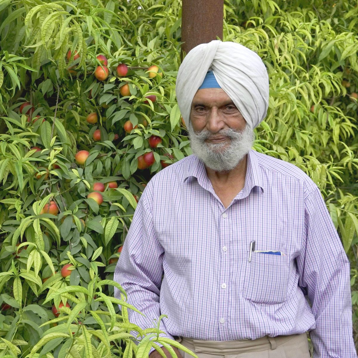 Sarabjit Singh Grewal