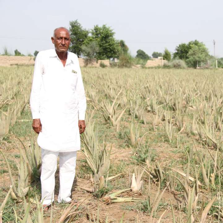 राजा राम जाखड़