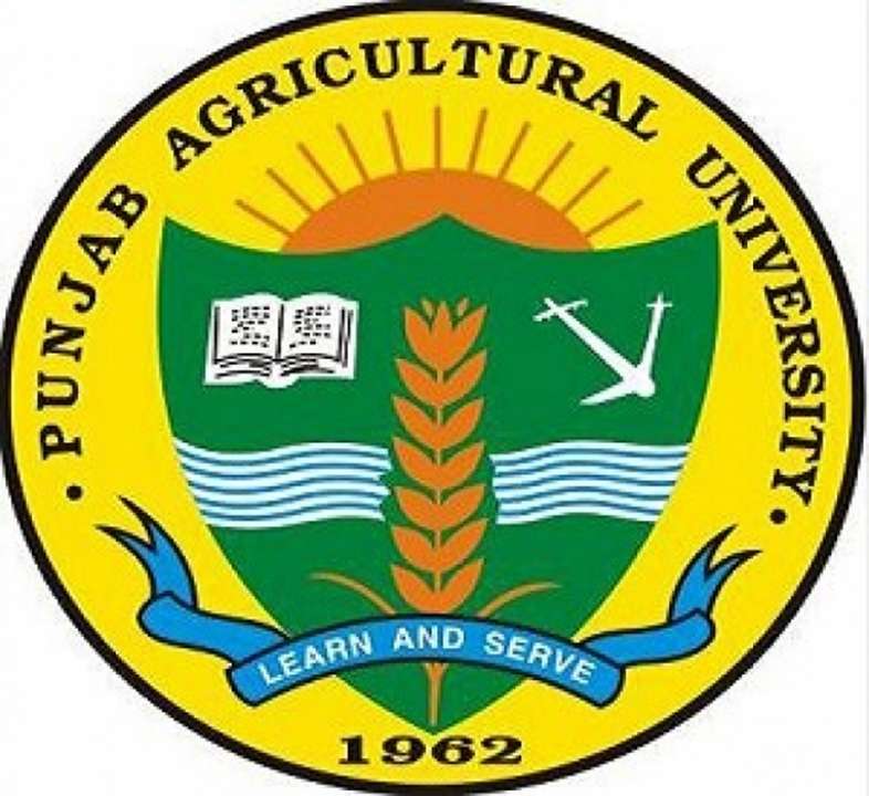 idea991511766941PunjabAgriculturalUniversitySarkariJob.jpg idea991511766941PunjabAgriculturalUniversitySarkariJob.jpg