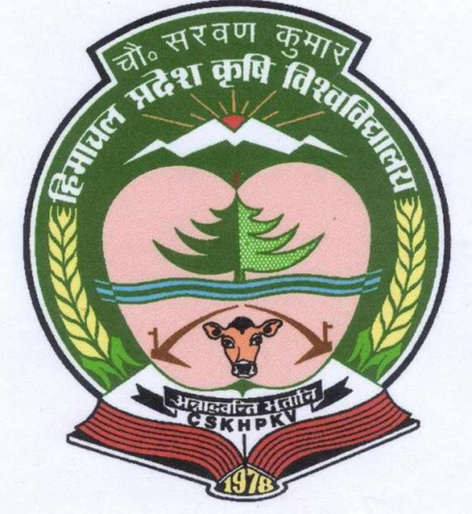 idea99CSK_Palampur.jpg