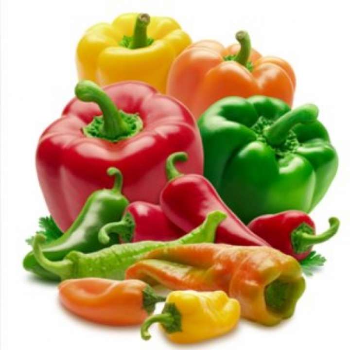 idea99Capsicum-And-Chilli-Pepper.jpg