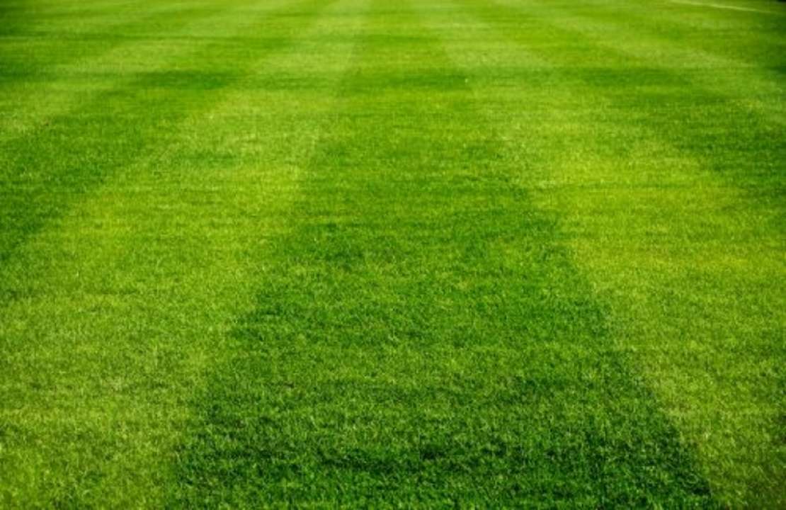 idea99Lawns.jpg idea99Lawns.jpg