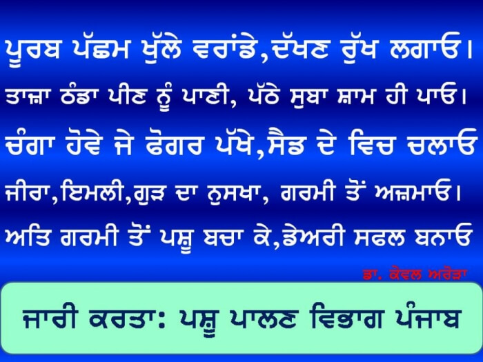 idea99WhatsApp_Image_2019-06-08_at_09.32.22.jpeg idea99WhatsApp_Image_2019-06-08_at_09.32.22.jpeg