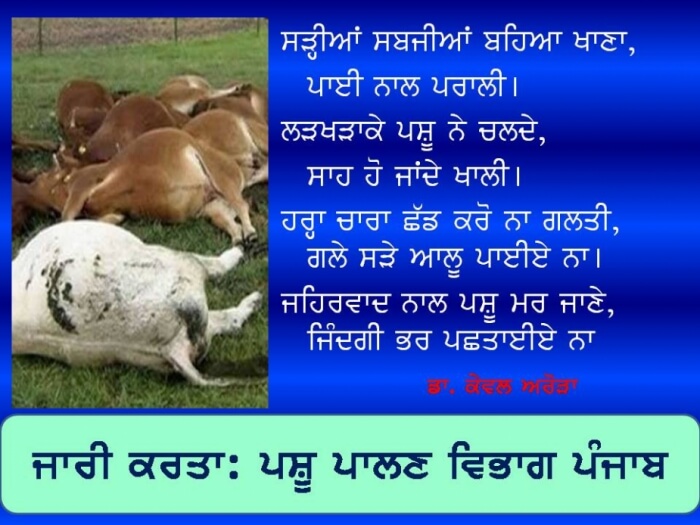 idea99WhatsApp_Image_2019-06-08_at_09.32.22_(1).jpeg