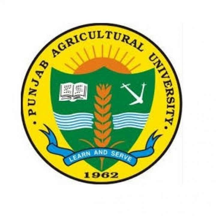 idea99agri.jpg