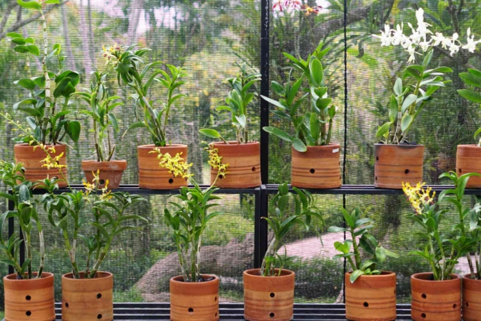 idea99all-about-choosing-plant-containers-847998-01-0c3330fd5b2e48da925ec06eae52b445.jpg idea99all-about-choosing-plant-containers-847998-01-0c3330fd5b2e48da925ec06eae52b445.jpg
