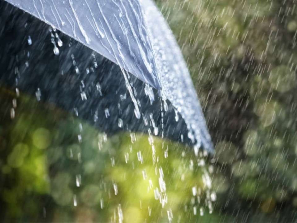 idea99barish.jpg