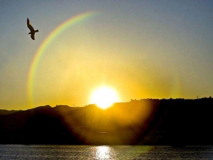idea99beautiful_sun_in_haryana.jpg