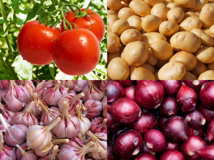 idea99bihar_advisory_vegetabllesss_hindi_.jpg