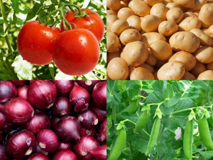 idea99bihar_vegetables_hindi_advisory.jpg