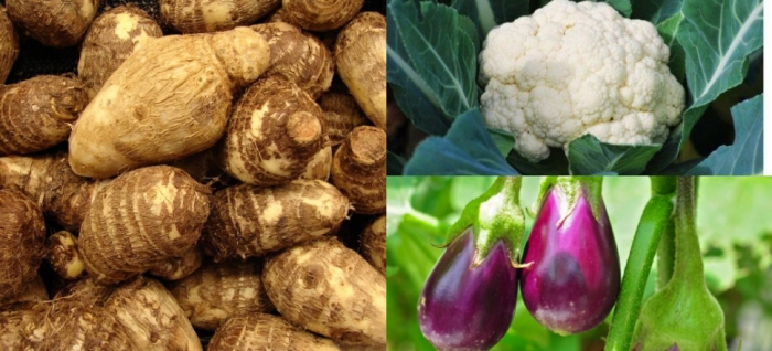 idea99brinjal_uttarkhand.jpg