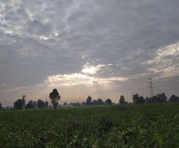 idea99clody_weather_hisar.jpg