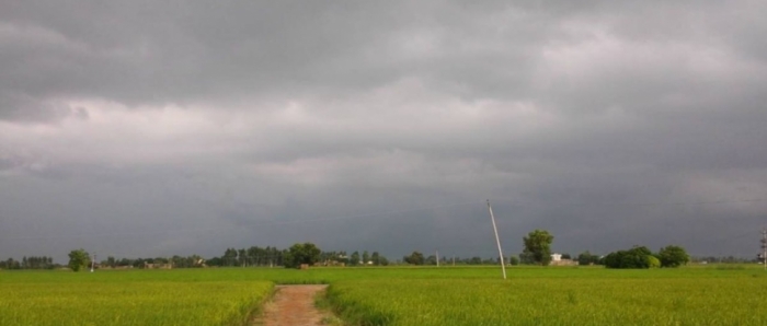 idea99collage_drizzling_in_punjab.jpg idea99collage_drizzling_in_punjab.jpg