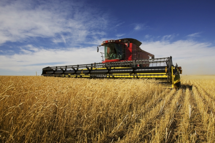 idea99combine_harvest_wheat.jpg