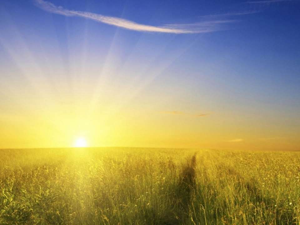 idea99crop_sun.jpg