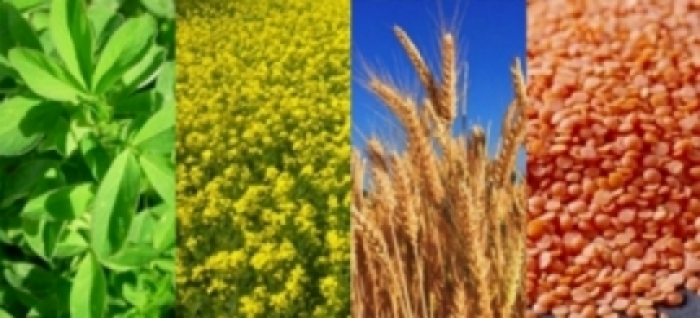 idea99crops_una_2nd_feb.jpg idea99crops_una_2nd_feb.jpg