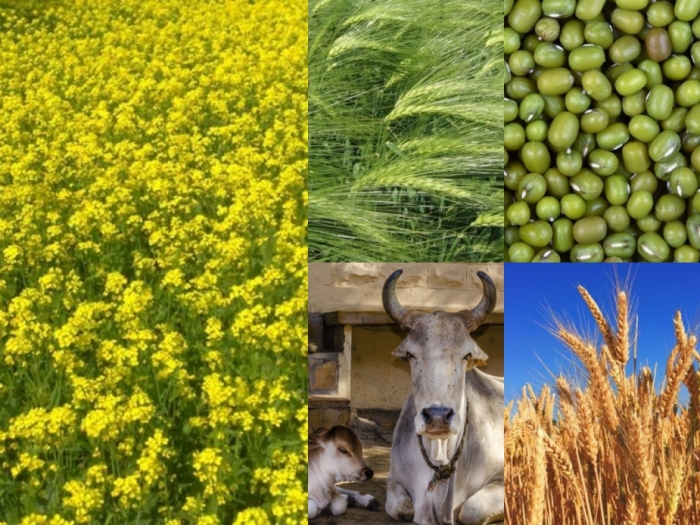 idea99cropsssss.jpg idea99cropsssss.jpg