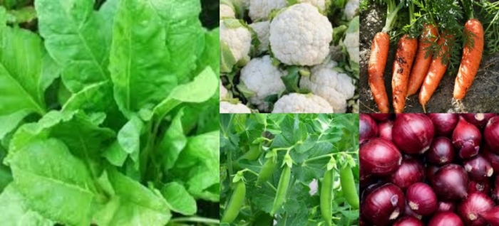 idea99delhi_veg_15th_jan.jpg