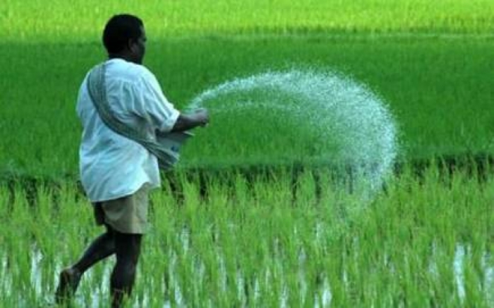 idea99fertiliser-ak.jpg idea99fertiliser-ak.jpg