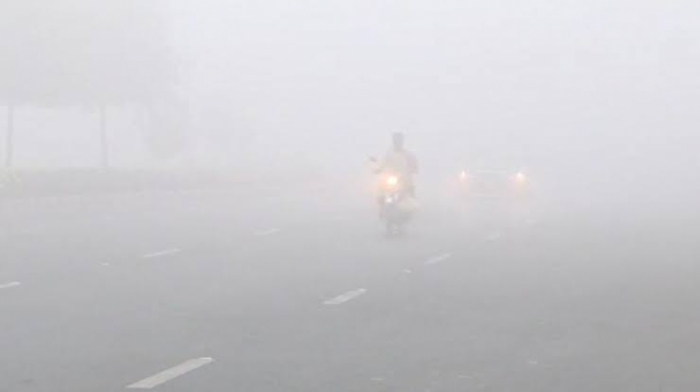 idea99fog.jpeg