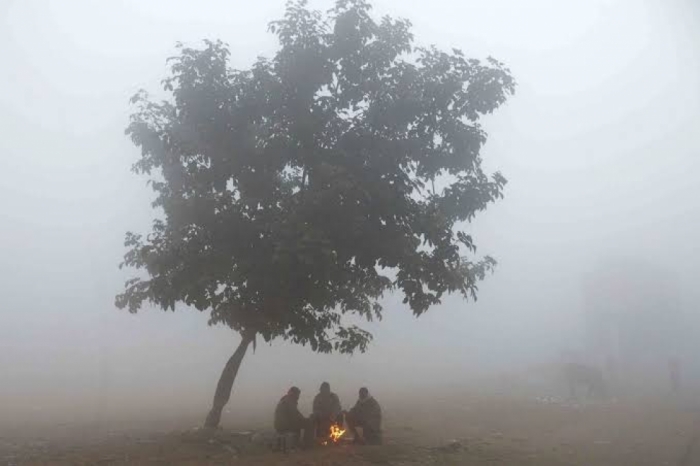 idea99fog_.jpeg