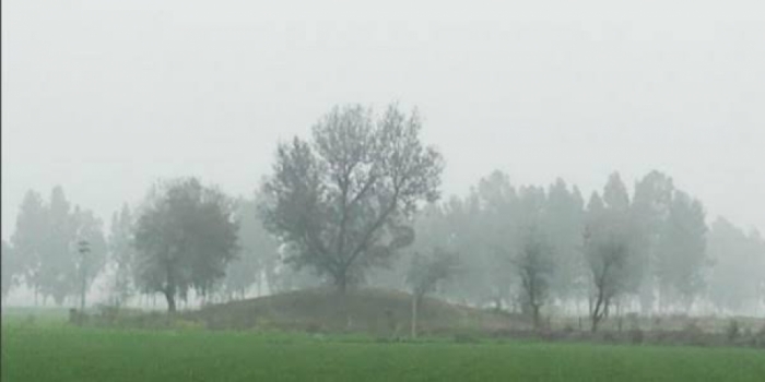 idea99fog_in_fields.jpeg idea99fog_in_fields.jpeg