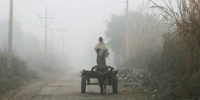 idea99fog_in_hisar.jpeg