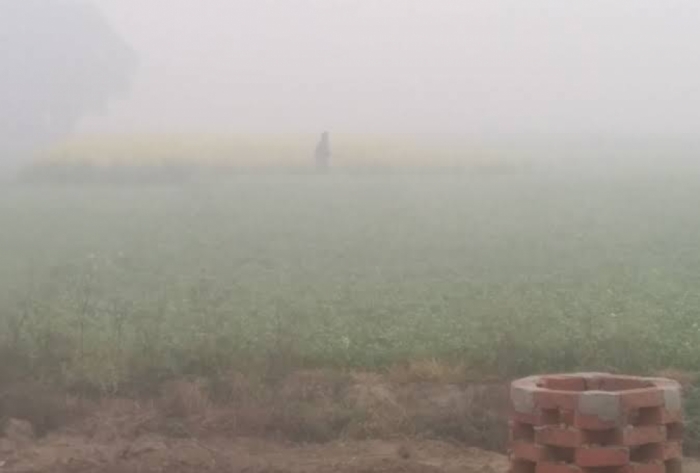 idea99fogg_punjab.jpeg idea99fogg_punjab.jpeg