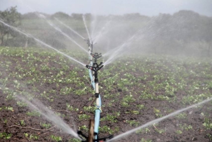 idea99gram_irrigation.jpg