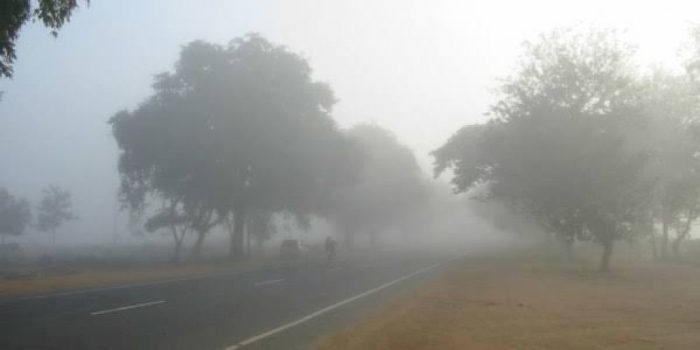 idea99haryana_fogg.jpeg