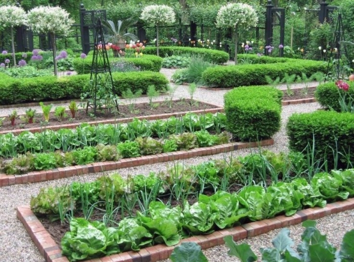idea99home_garden.jpg