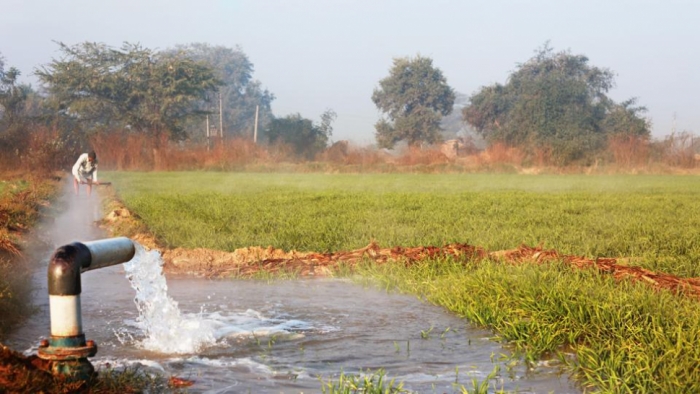 idea99irrigation_in_wheat.jpg