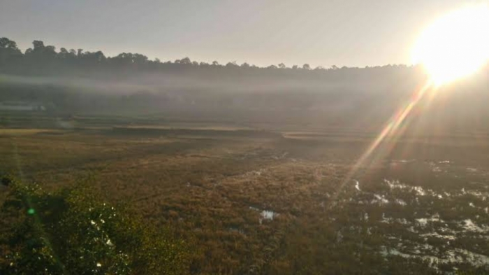 idea99khet_sun.jpeg