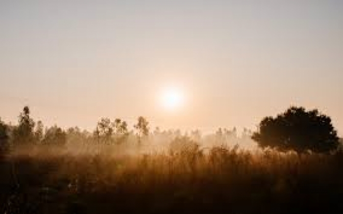 idea99khet_sunrise.jpeg