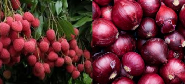 idea99litchi_udham_singh_nagar.jpg idea99litchi_udham_singh_nagar.jpg