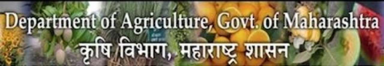 idea99maharashtra.JPG