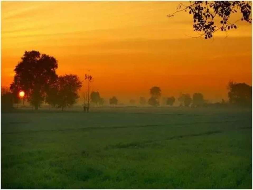 idea99morning_of_punjab.jpg