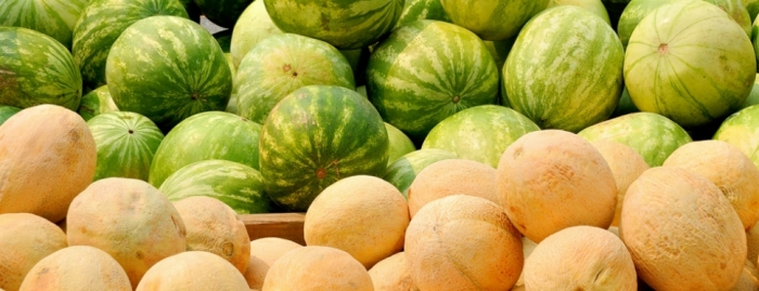 idea99muskmelon_and_watermelon.jpg