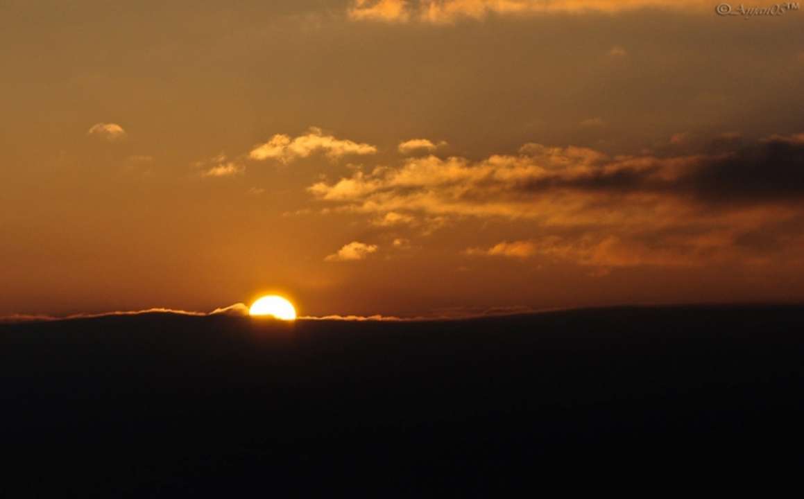idea99new_image_of_sun.jpg