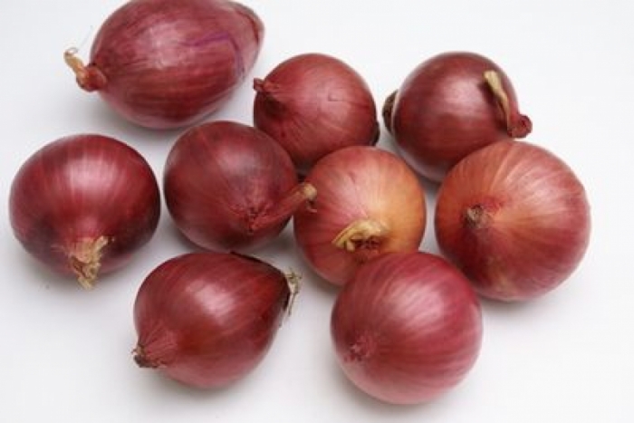 idea99onion_bulbous.jpeg
