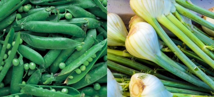 idea99onion_peas.jpg