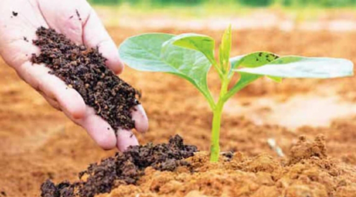 idea99organic_kheti.jpg idea99organic_kheti.jpg