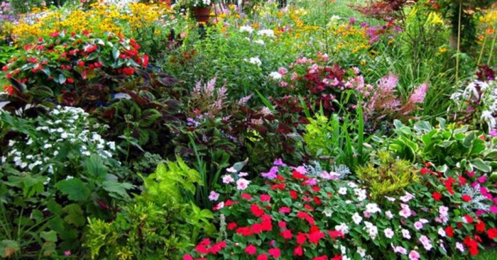 idea99ornamentals_april.jpg