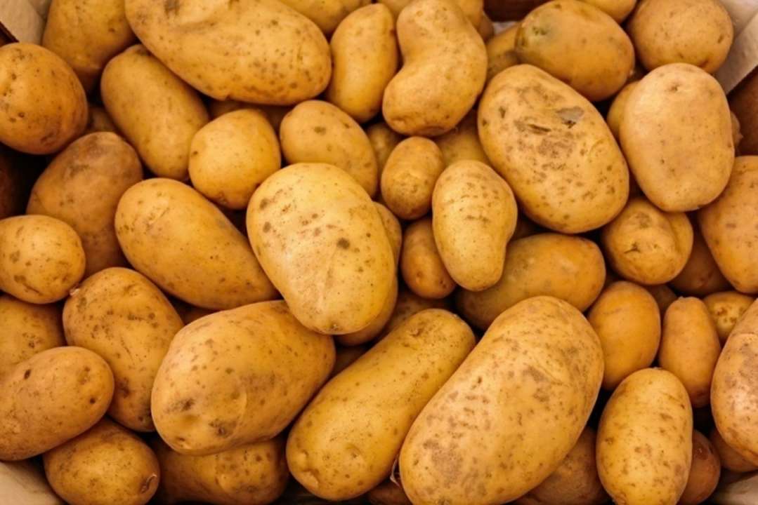 idea99potatoes-411975_1280-1200x800.jpg