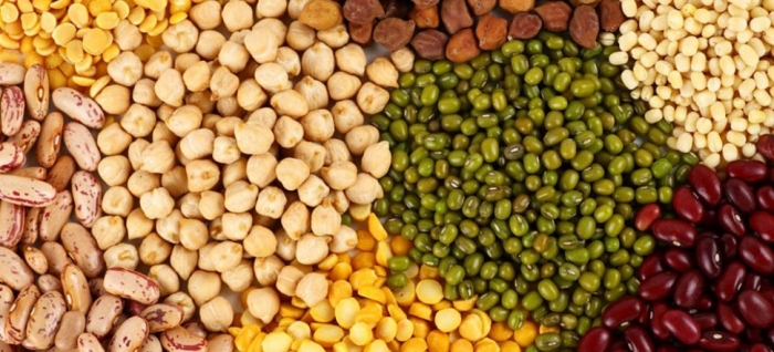 idea99pulses.jpg idea99pulses.jpg