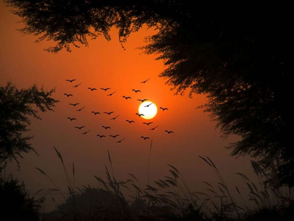 idea99punjab_weather.jpg idea99punjab_weather.jpg