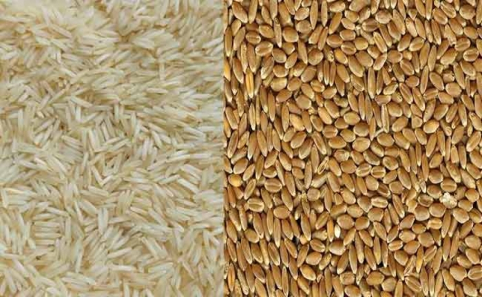 idea99rice_and_wheat.jpg